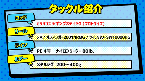 タックル紹介