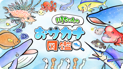 川ちゃんのおサカナ図鑑